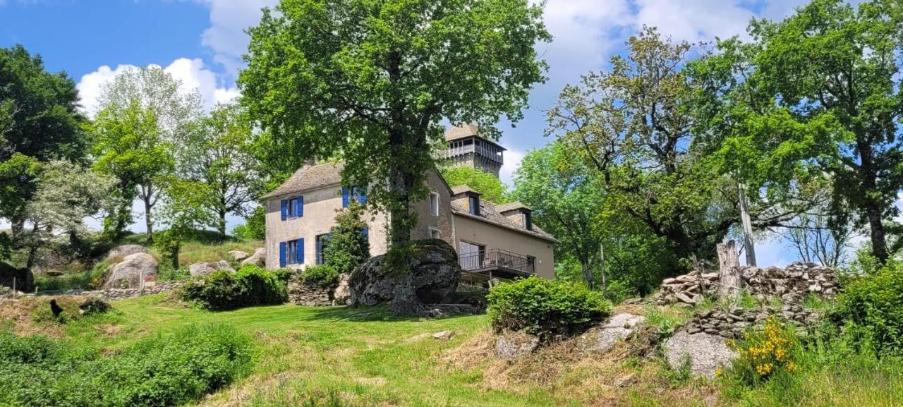 Gite A La Tour De Peyrebrune Alrance Exterior foto